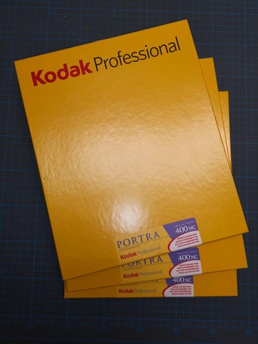Kodak portra 400nc 8x10 - 3x,
